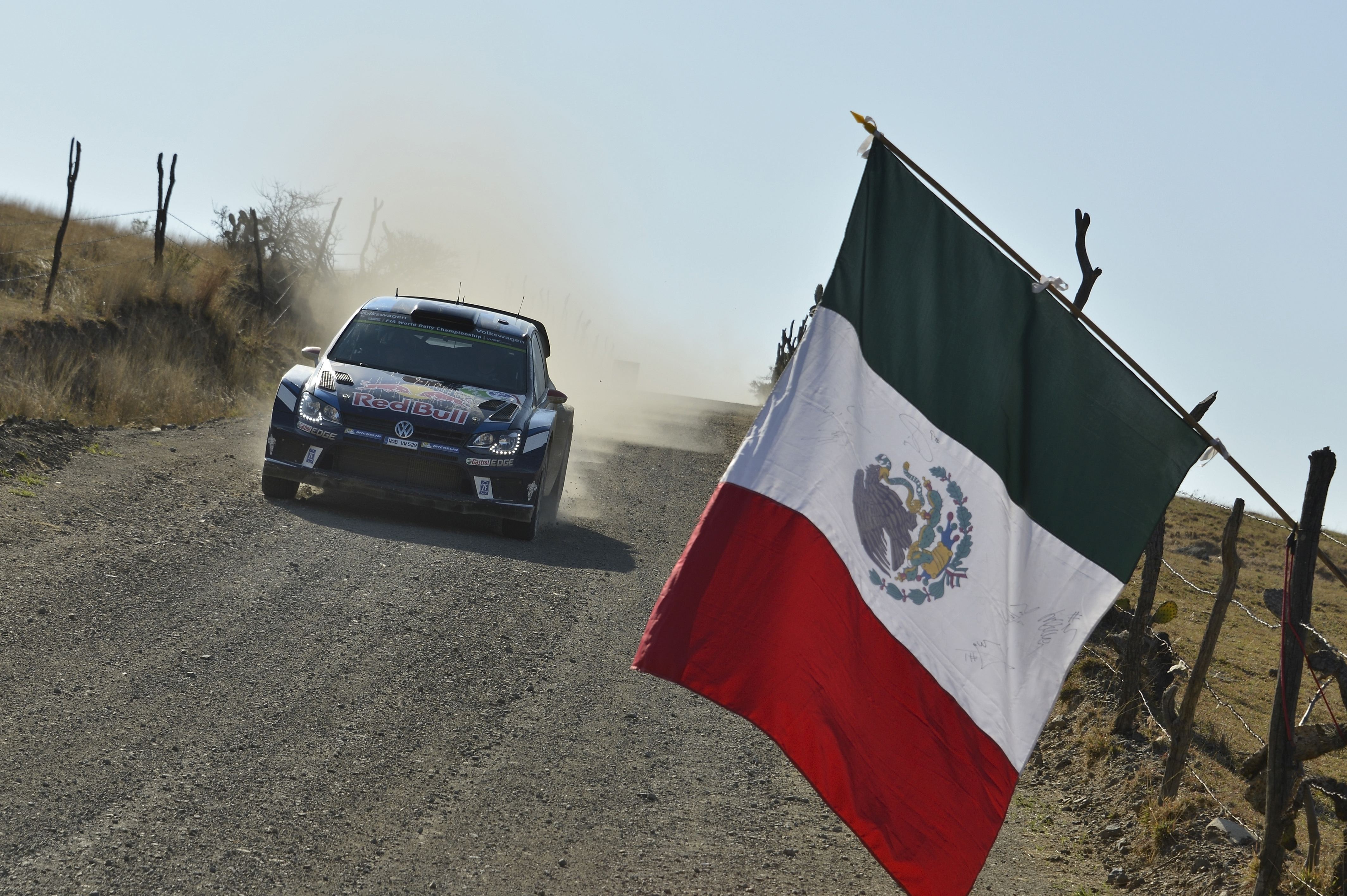 優勝したヤリ-マティ・ラトバラ（フォルクスワーゲン・ポロR WRC）