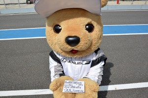 とりあえず手においてしっかりカードをみせてもらいました。