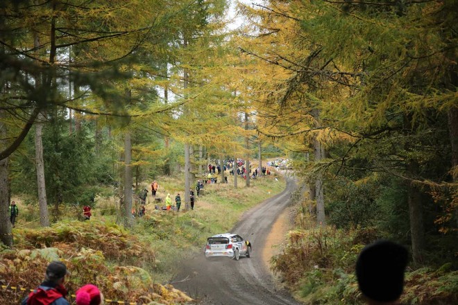 ラリーGBは木々が生い茂るなかを駆け抜けるステージ構成