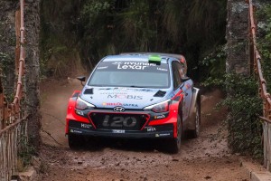 ヘイデン・パッドン(ヒュンダイi20 WRC)