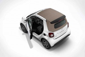 ボディ同色のトリディオンセーフティセルにベージュのトップを採用