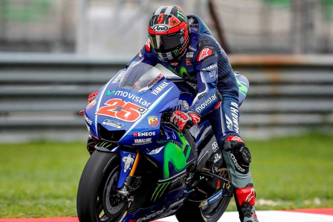 マーベリック・ビニャーレス