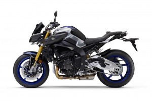 ブルーイッシュホワイトメタリック（シルバー）