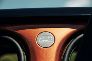 インナーパネルとなるBピラーには専用オーナメントも