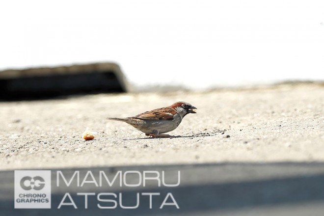 2017年F1第4戦ロシアGP　予選日