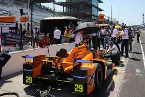 アロンソの黄色いカーナンバー29はルーキーの証