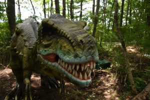 7月28日にオープンした富士ジュラシックウェイ