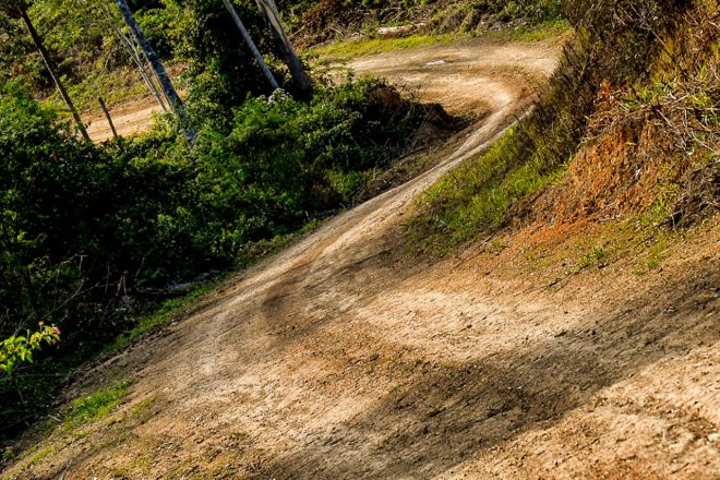 ラリー・オーストラリアのステージは森林セクションを抜けるステージも設定される