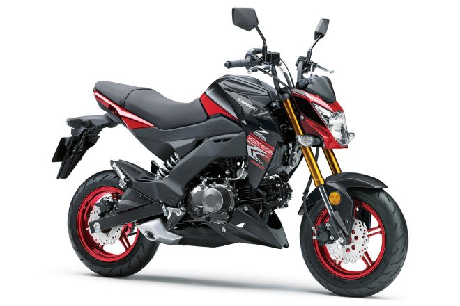 Z125PRO／キャンディパーシモンレッド×メタリックカーボングレー