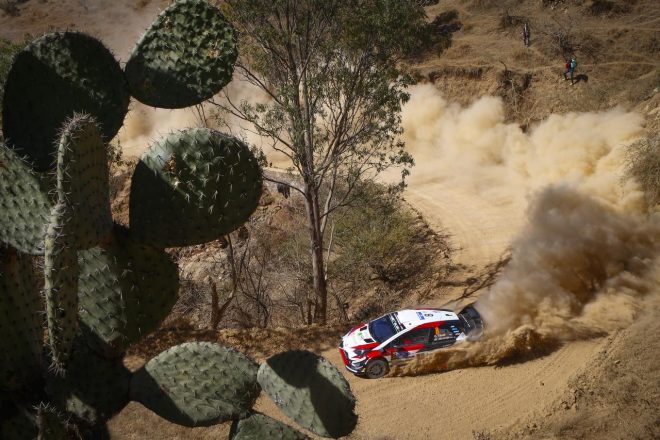 オット・タナク（トヨタ・ヤリスWRC）