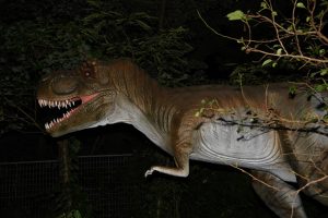 ナイトジュラシックウェイのイメージ