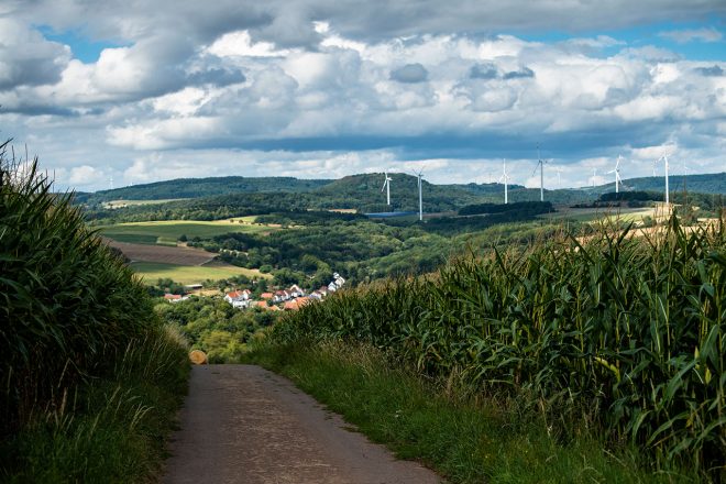 曲がりくねった山道もラリー・ドイチェランドの部隊だ
