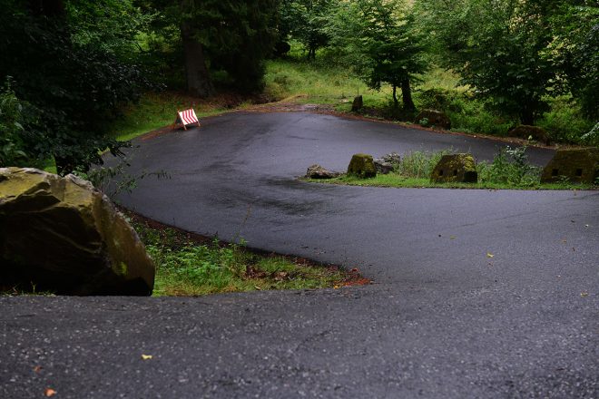 ラリー・ドイチェランドの道はコース脇に岩が待ち構える