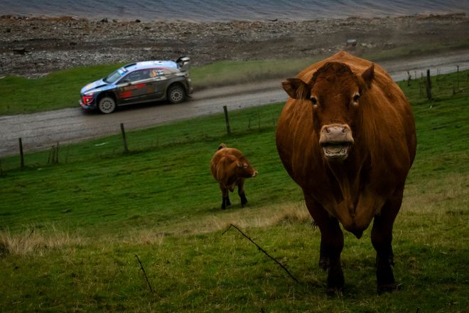 ティエリー・ヌービル（ヒュンダイi20クーペWRC）