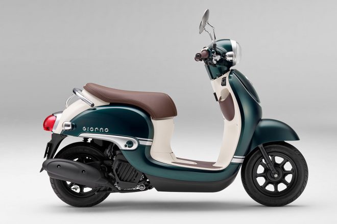 ジョルノ・デラックス（タスマニアグリーンメタリック）