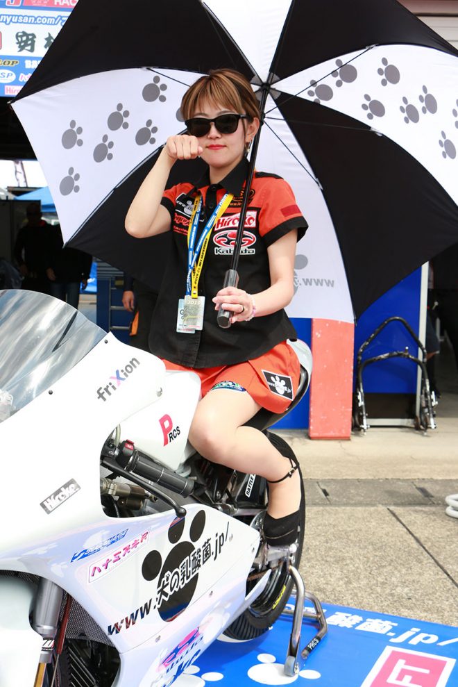 犬の乳酸菌.jp／プリミティブRT