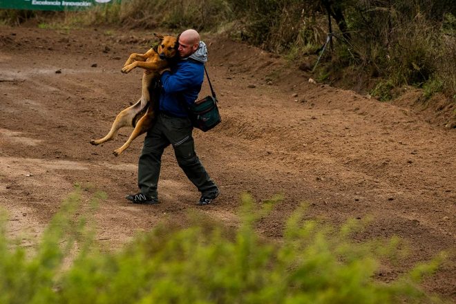 シェイクダウンステージを観戦するラリーファン
