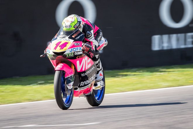 トニー・アルボリーノ（VNE Snipers）