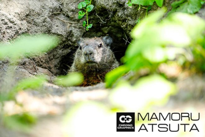 Shots!2019年F1第7戦カナダGP