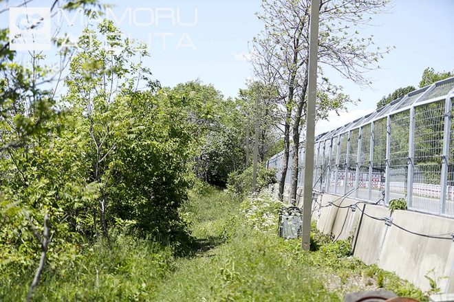 Shots！2019年F1第7戦カナダGP