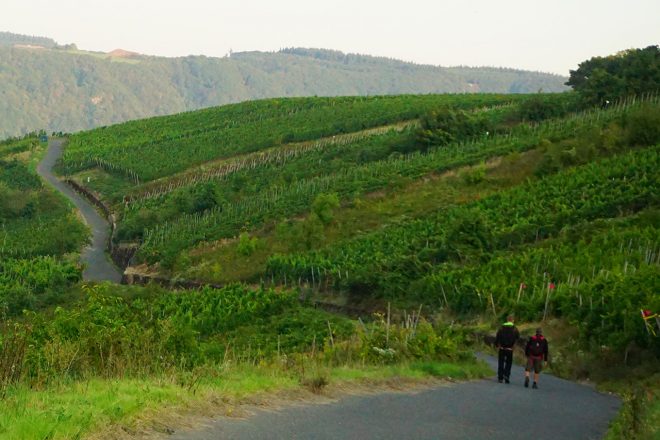 【ブログ】WRC第10戦ドイツ／WRC現地特派員