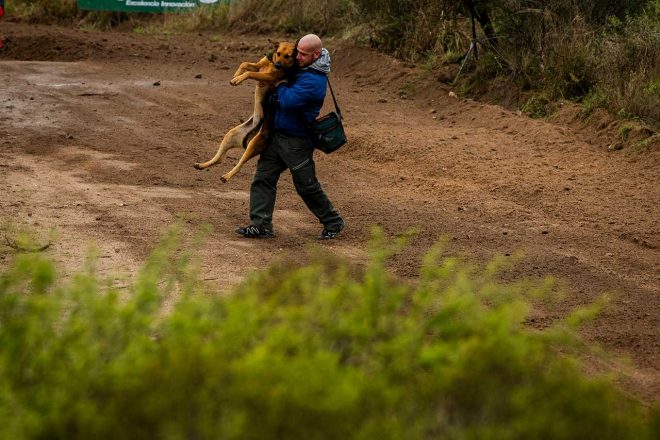 ラリー・アルゼンチンでシェイクダウンでの一コマ。抱えられているのは愛犬なのか野犬なのか‥‥