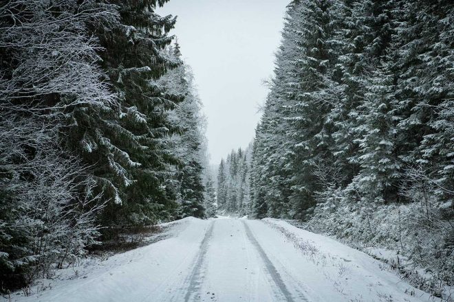 2020年2月12日に撮影されたスウェーデン・トルシュビー周辺の様子。地面には雪が積もっているが充分な積雪量ではなさそうだ