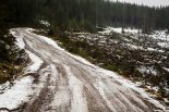 2020年ラリー・スウェーデンの様子。雪と地面が混ざり合うグラベルコンディションとなっている
