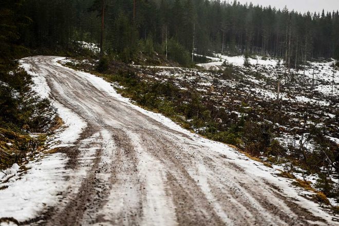 2020年ラリー・スウェーデンの様子。雪と地面が混ざり合うグラベルコンディションとなっている