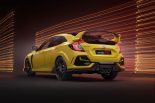 専用カラーのサンライトイエローII＆ブラックでは、ルーフとドアミラー、エアインテークがブラック塗装となる。
