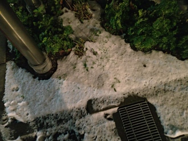 【ブログ】スーパーGT現地観戦レポート（後編）