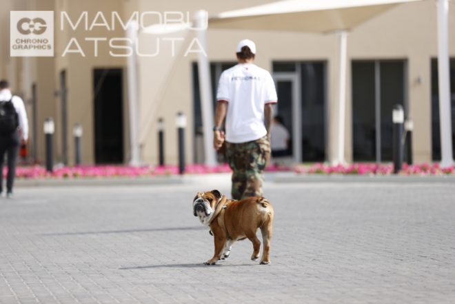 【ブログ】Shots！第17戦アブダビGP