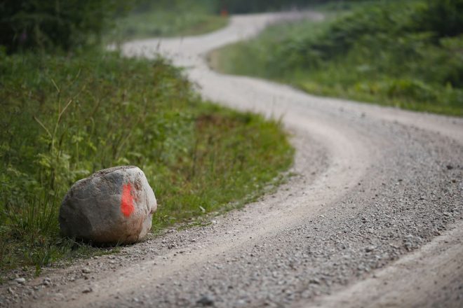 超高速グラベルラリーとして知られるラリー・エストニア。WRCイベントとしては今季が2度目の開催となる