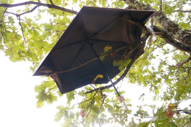 2021アクロポリス・ラリー・ギリシャ WRCブログ第9戦ギリシャ(後編)