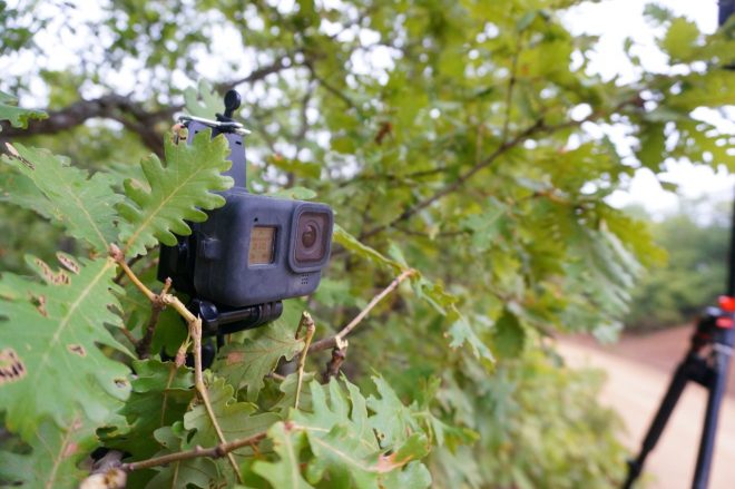 2021アクロポリス・ラリー・ギリシャ WRCブログ第9戦ギリシャ(後編)