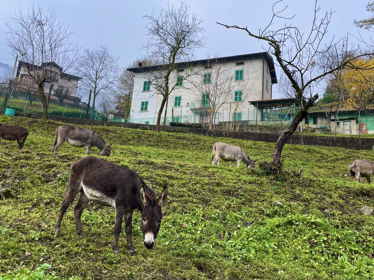 2021年WRC第12戦ラリー・モンツァ