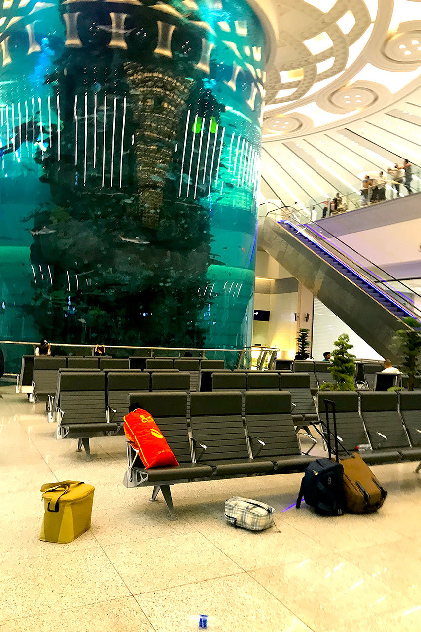 【F1現地情報：サウジアラビア編】