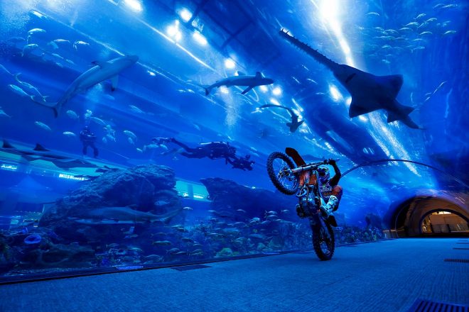 水族館をウイリーで駆け抜けるサム・サンダーランド