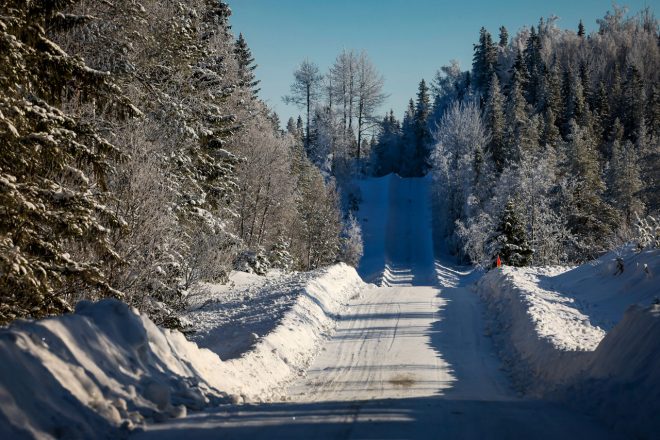 シリーズ屈指のハイスピードラリーは開催地が北部のウメオに移っても健在。多くのSSがが全壊率の高いステージで実施された