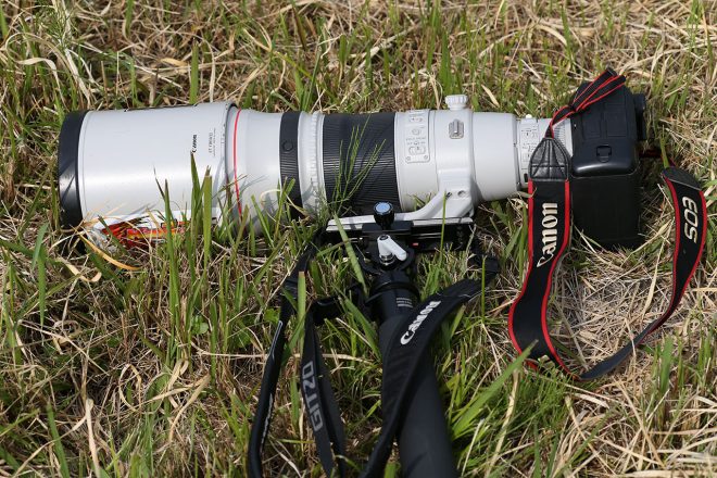 500mm＋一眼レフボディ＋一脚で約5キロ程度。これを1日振り続ける。他にサブ機や広角レンズ等を持ち歩く……そろそろ軽量なミラーレスを導入したい