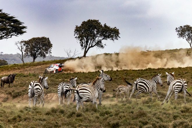 トヨタGRヤリス・ラリー1（TOYOTA GAZOO Racing WRT）　2022年WRC第6戦サファリ・ラリー・ケニア