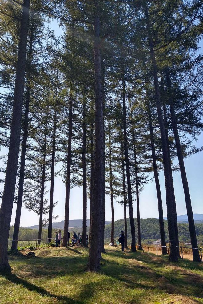【ブログ】現地特派員ホンマさんの初めてのラリー観戦記（ラリー北海道／前編）