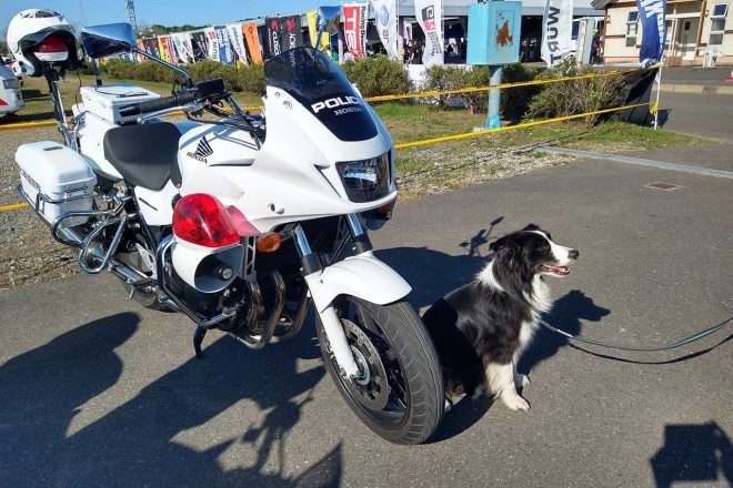 【ブログ】ラリー北海道:後編