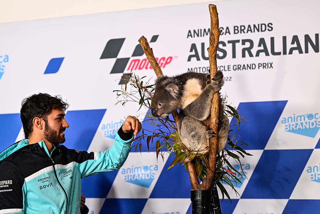 Moto3：デニス・フォッジア（Leopard Racing）／2022MotoGP第18戦オーストラリアGP