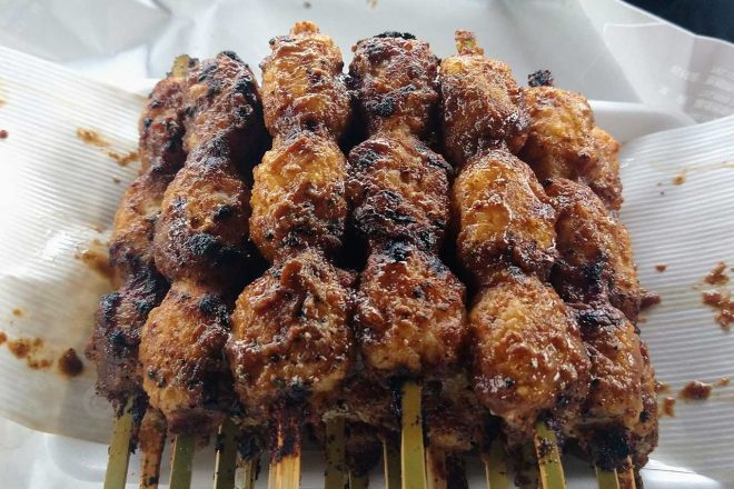 ラリージャパン現地観戦ブログ