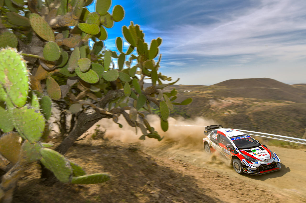 2020年WRCメキシコで優勝したセバスチャン・オジエ／ジュリアン・イングラシア組（トヨタ・ヤリスWRC）
