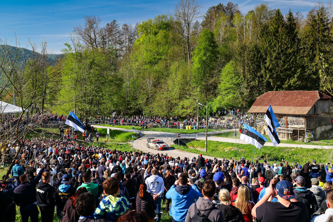 2023年WRC第4戦クロアチア・ラリー　エルフィン・エバンス（トヨタGRヤリス・ラリー1）