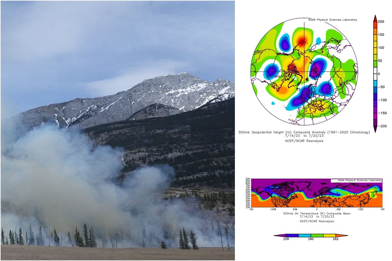 独自の環境研究機関を抱えるシリーズも、気候変動の調査結果などを随時報告、公表している