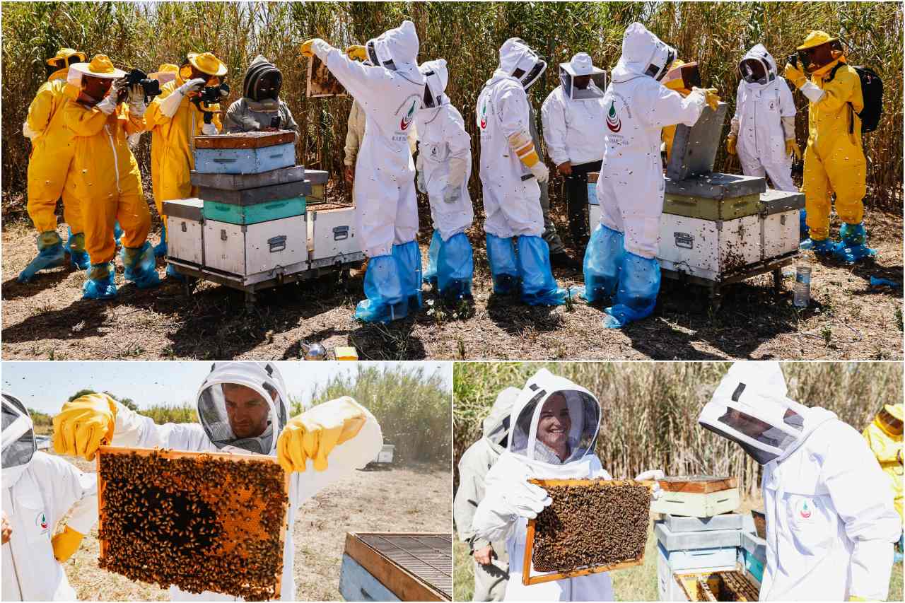 開催地の環境回復を狙う"レガシィ・プログラム"だが、前回サルディニアはミツバチの生態調査と個体数回復のサポートを実施していた