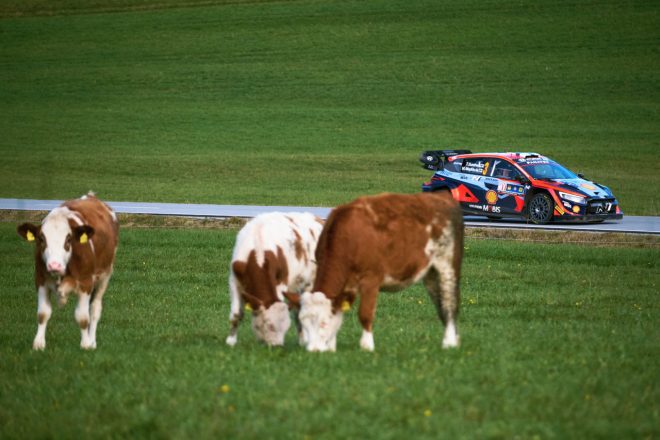 総合6位で2023年シーズン最後のラリー1プログラムを終えたテーム・スニネン(ヒョンデi20 Nラリー1) 2023年WRC第12戦セントラル・ヨーロピアン・ラリー